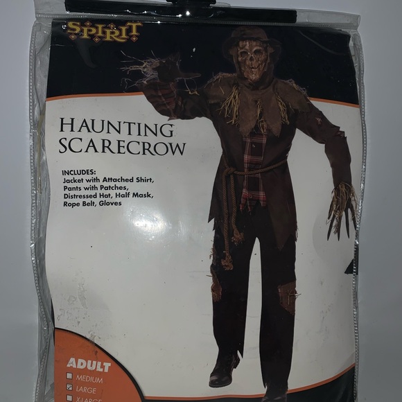 ADULT LARGE - costume HAUNTING SCARECROW DELUXE COSTUME - Picture 1 of 4